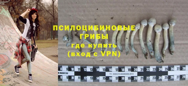 COCAINE Белокуриха