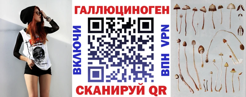 Псилоцибиновые грибы Psilocybe  дарк нет официальный сайт  гидра ONION  Кунгур  наркошоп 